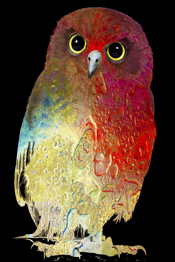 Owl Colorful Rainbow Painting by Tony Rubino