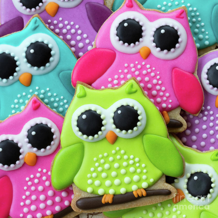 Cookie Photograph - Owl cookies by Ruth Black