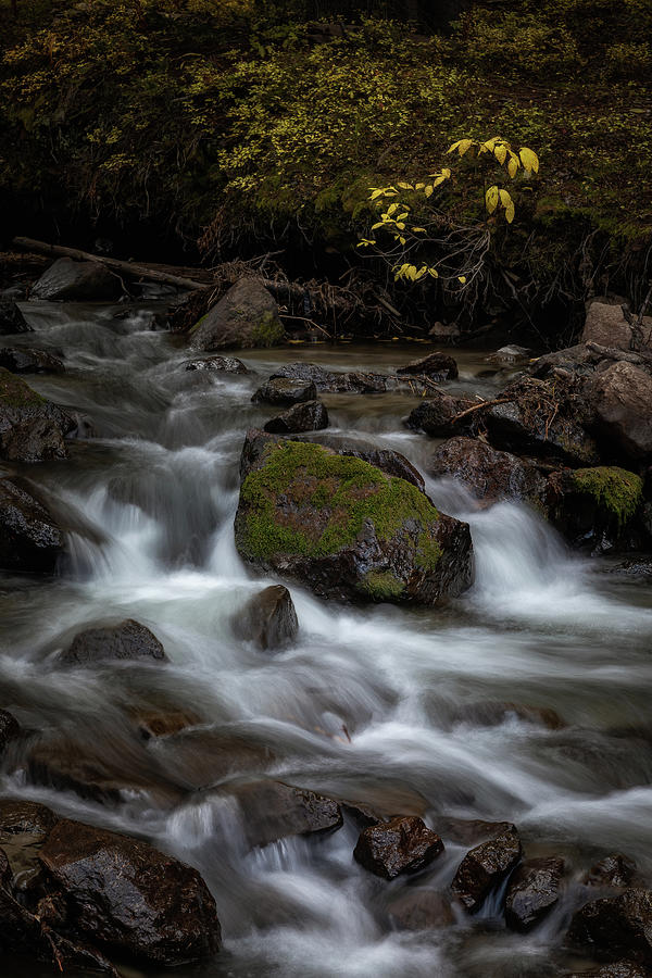 Owl Creek Photograph by Chuck Rasco Photography