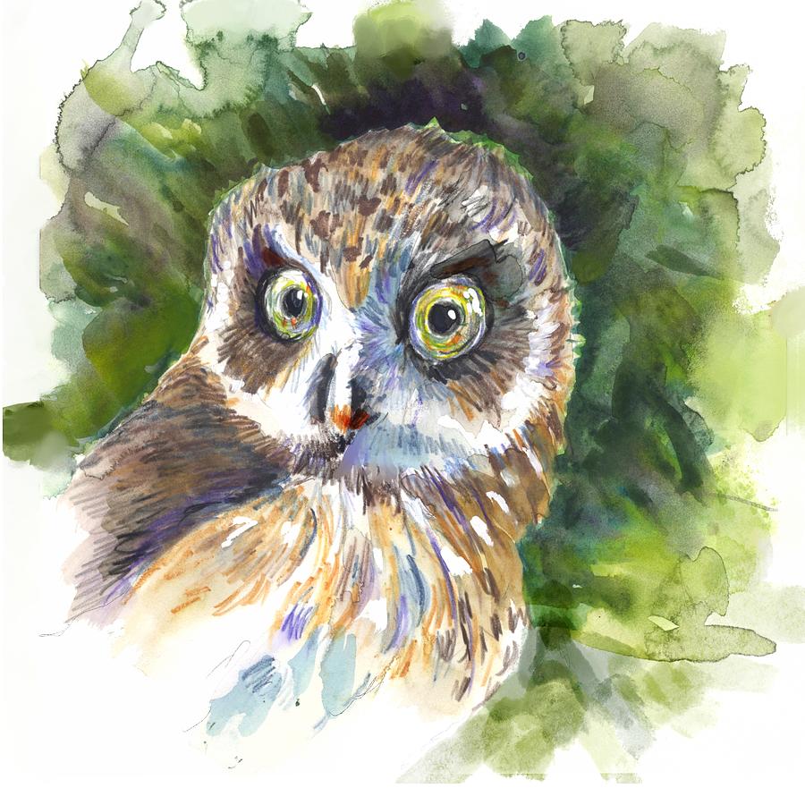 Owl Digital Art by Elaine Pawski