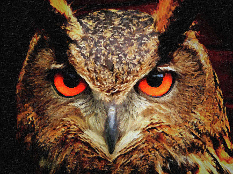 Owl Painting - Owl Eyes by Safran Fine Art