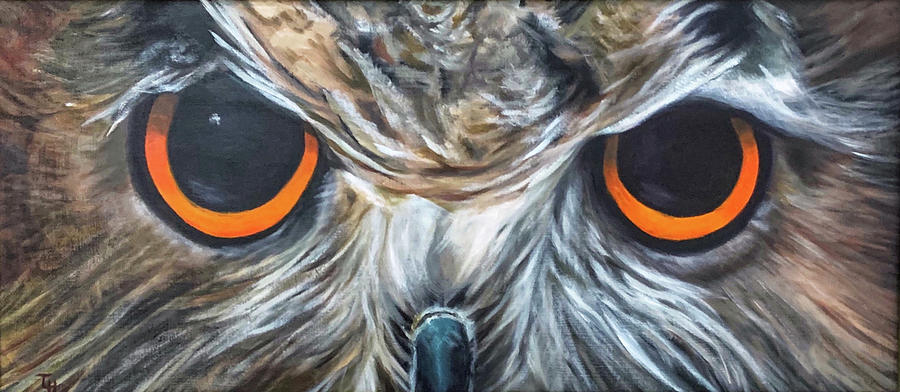 Owl Eyes Painting by Tracy Hutchinson