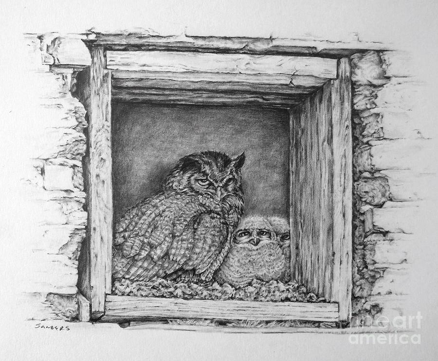 Owl Family Drawing by Pamela Sanders