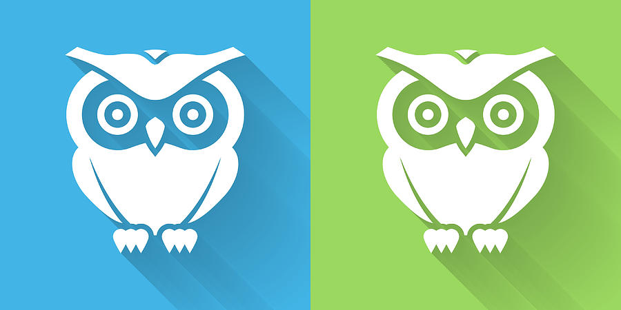 Owl Icon with Long Shadow Drawing by Bubaone