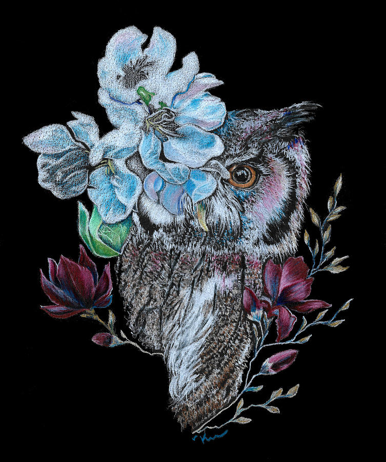 Owl In Flowers Drawing by Katrina Nixon
