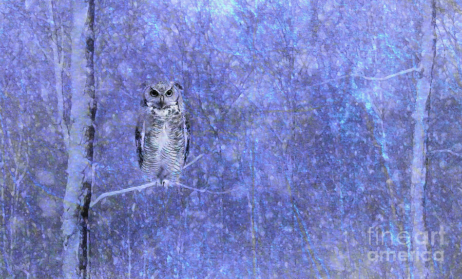 Owl in Snowstorm Digital Art by Judi Bagwell