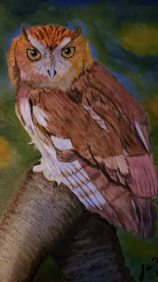 OWL Painting by Jose Soto OWL Painting by Jose Soto