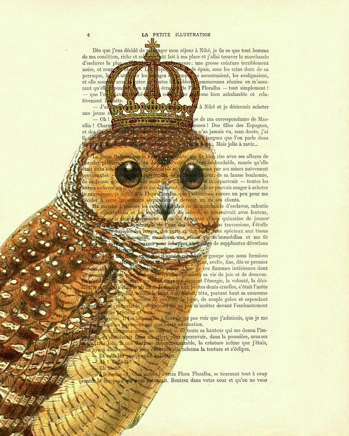 Owl Mixed Media - Owl King by Madame Memento