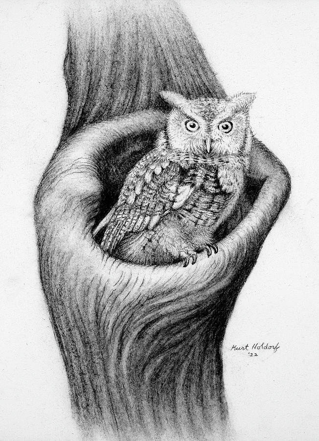 Owl Drawing by Kurt Holdorf