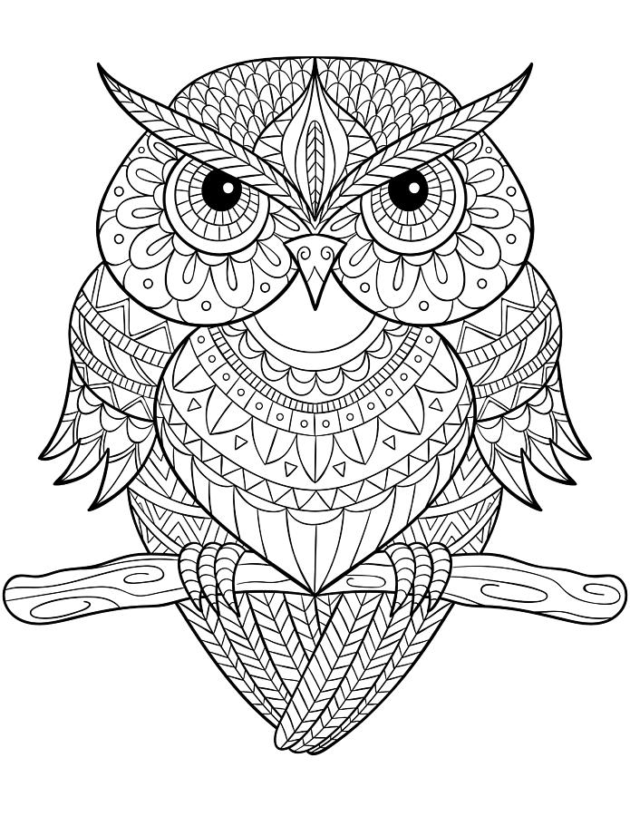 Owl Mandala Drawing by Saml Laop | Pixels