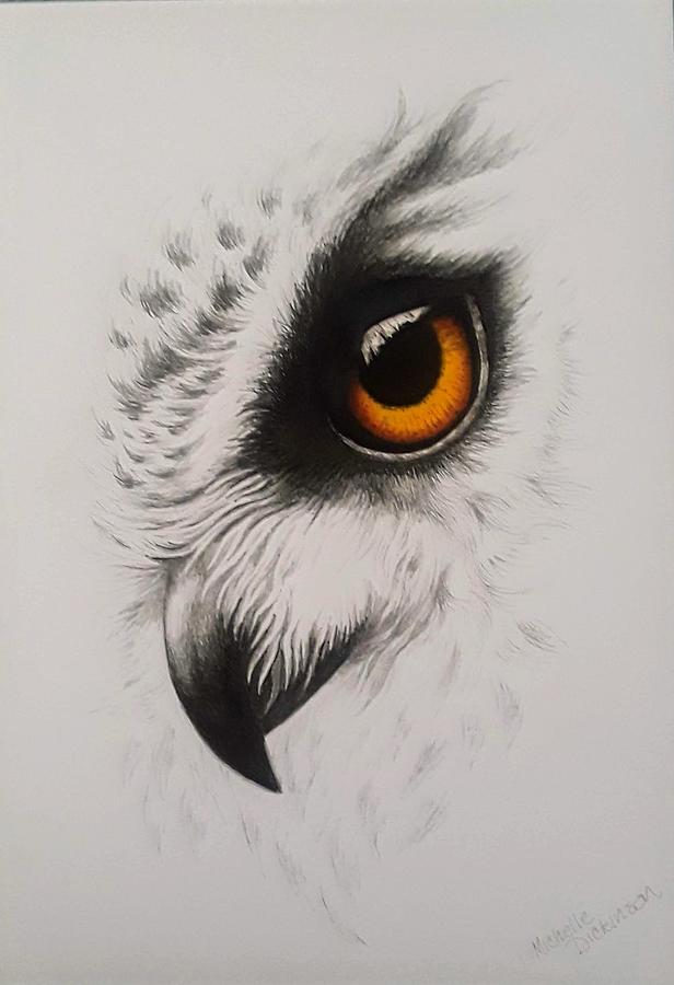 owls drawings
