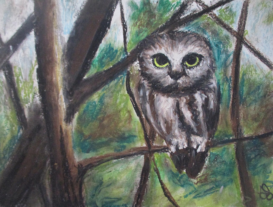 Owl Night Pastel by Jen Shearer