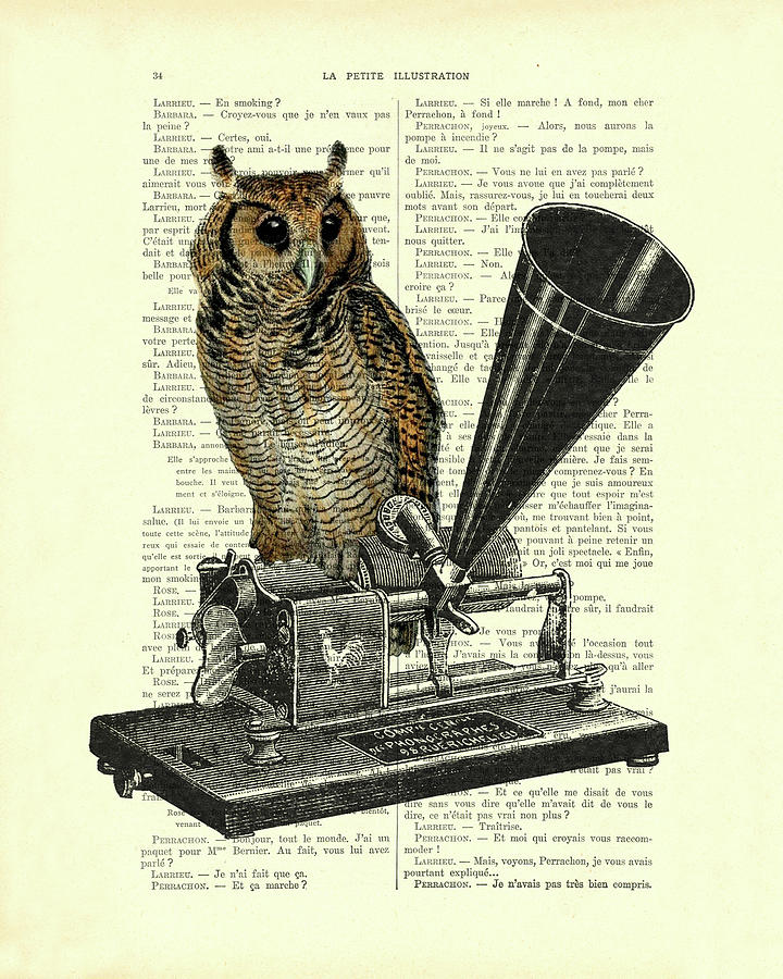 Owl Digital Art - Owl on antique phonograph by Madame Memento
