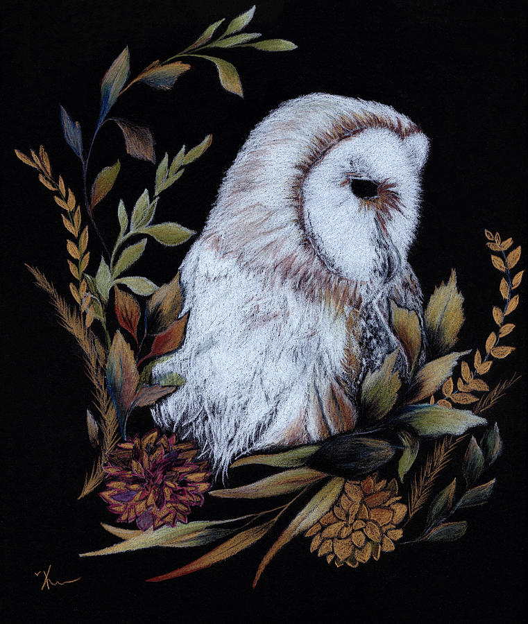 Floral Barn Owl Drawing by Katrina Nixon