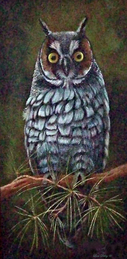 Owl, out on a limb Painting by Loxi Sibley