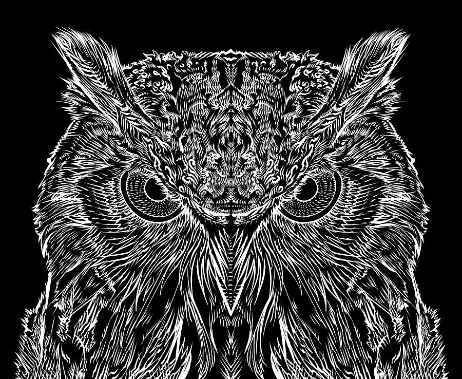 Owl Peering Into The Night Drawing by Fabrizio Cassetta