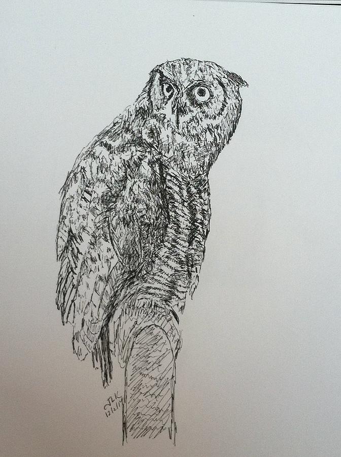 Owl Pen And Ink Photo Drawing by Julie Kreutzer
