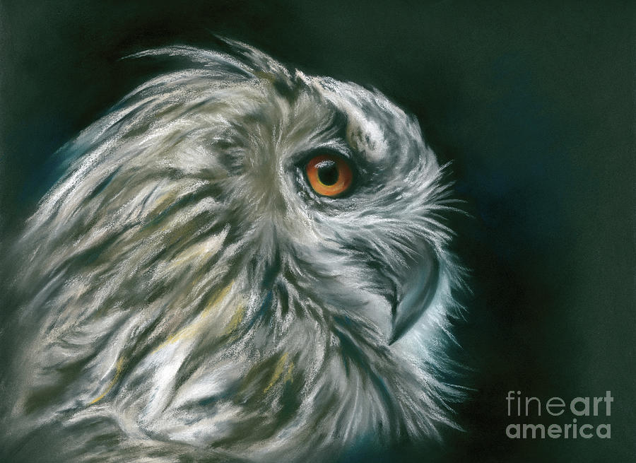 Owl Portrait in Profile Painting by MM Anderson