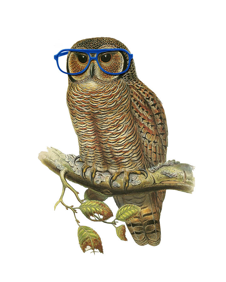 Owl Digital Art - Owl sitting on a branch with blue glasses by Madame Memento