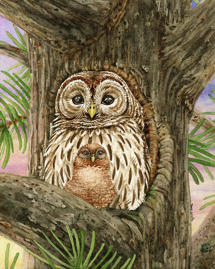 Owl Painting - Owl Tree with Barred Owls by Tracy Lizotte
