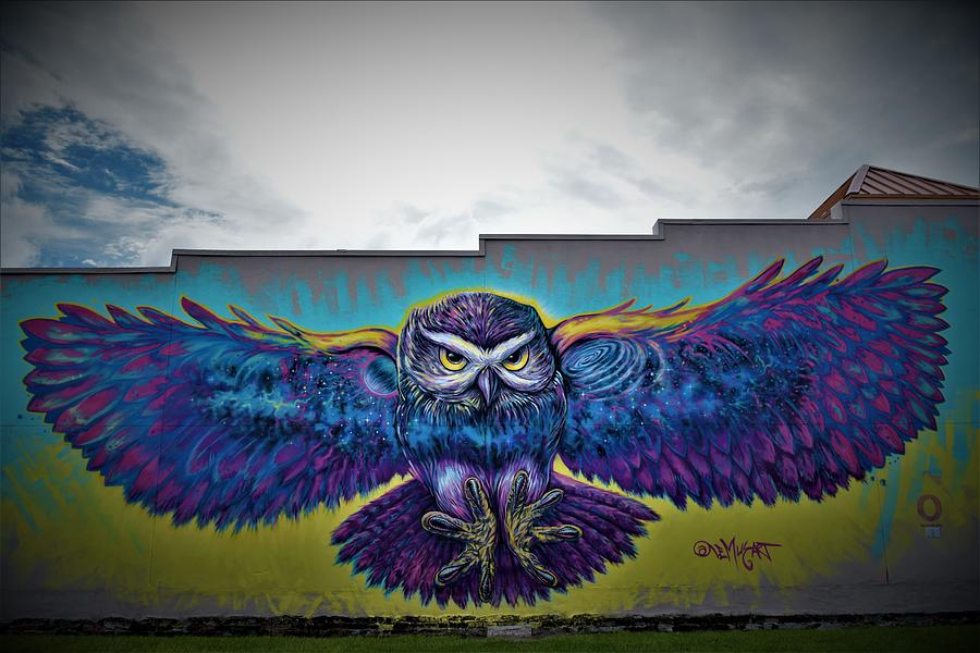 Owl Wall Mural   Photograph by Christopher Mercer