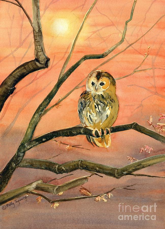 Owl Watercolor Art Painting by Melly Terpening