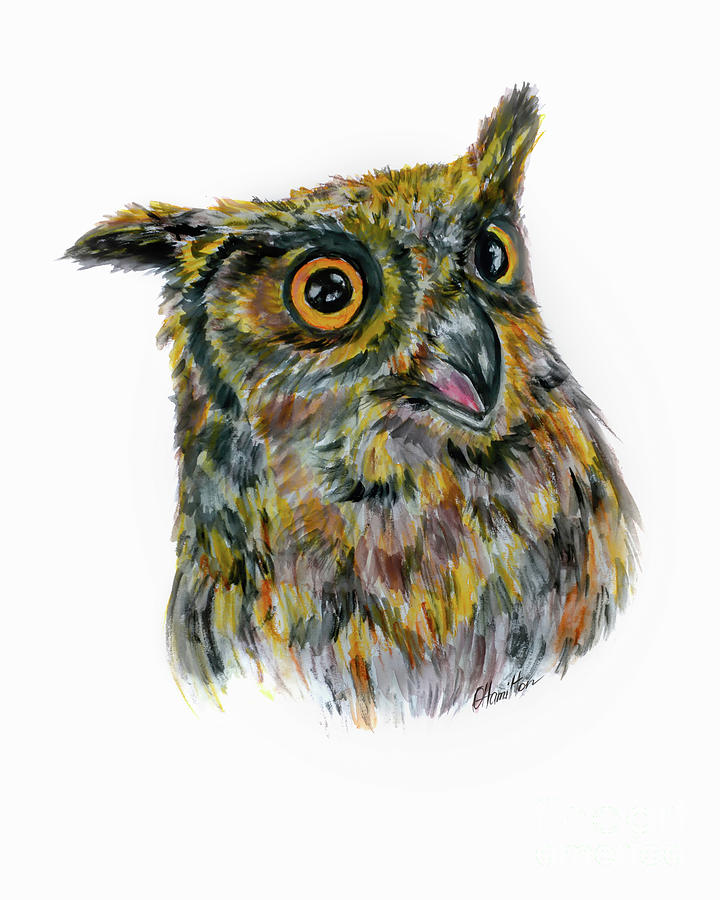 Owl Watercolor Portrait Painting by Olga Hamilton