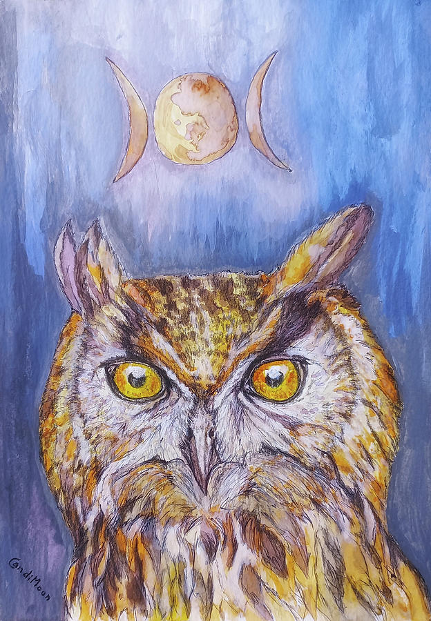 Owl Wisdom Mixed Media by Candi Moon - Fine Art America