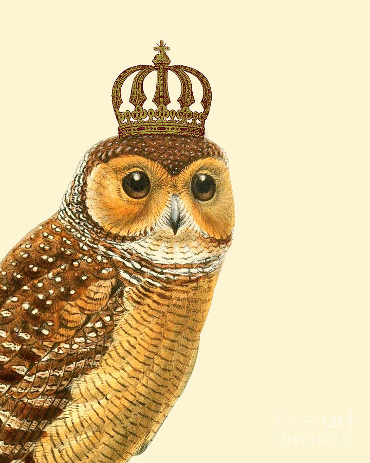 Owl Digital Art - Owl With Crown by Madame Memento