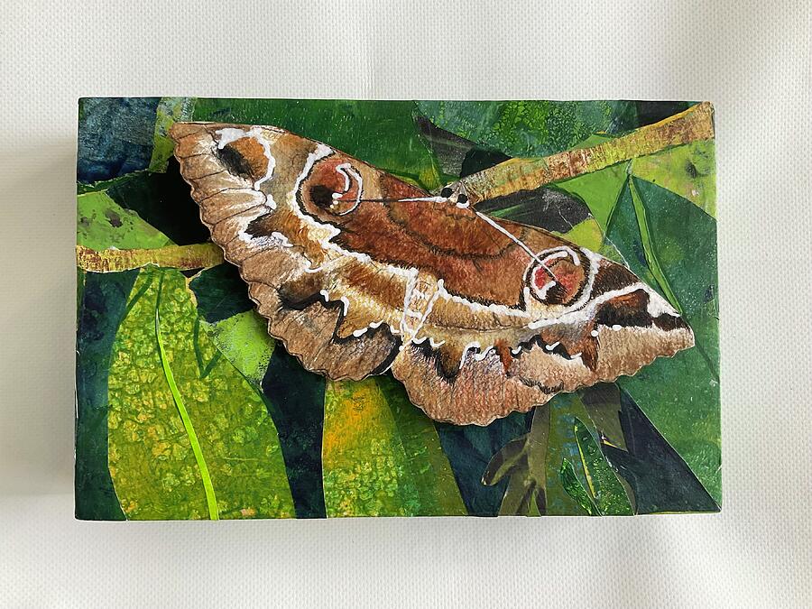 Owlet Moth Mixed Media by Eileen Petre Owlet Moth Mixed Media by Eileen Petre