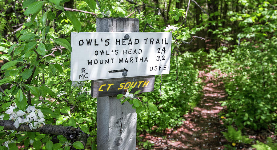 Owls Head Trail Photograph by White Mountain Images