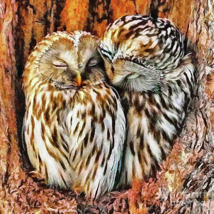 Owls in Love Digital Art by Yorgos Daskalakis