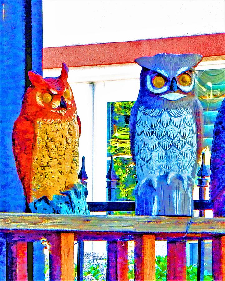 Owls On A Porch Photograph by Andrew Lawrence