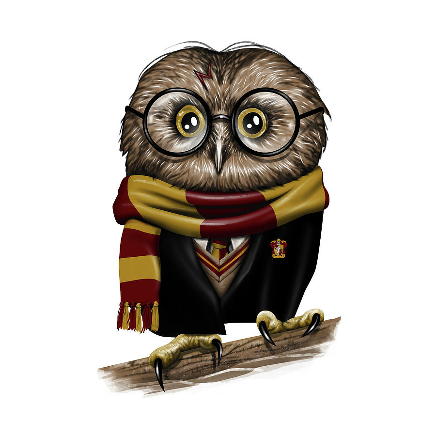Owl Digital Art - Owly Wizard by Vincent Trinidad