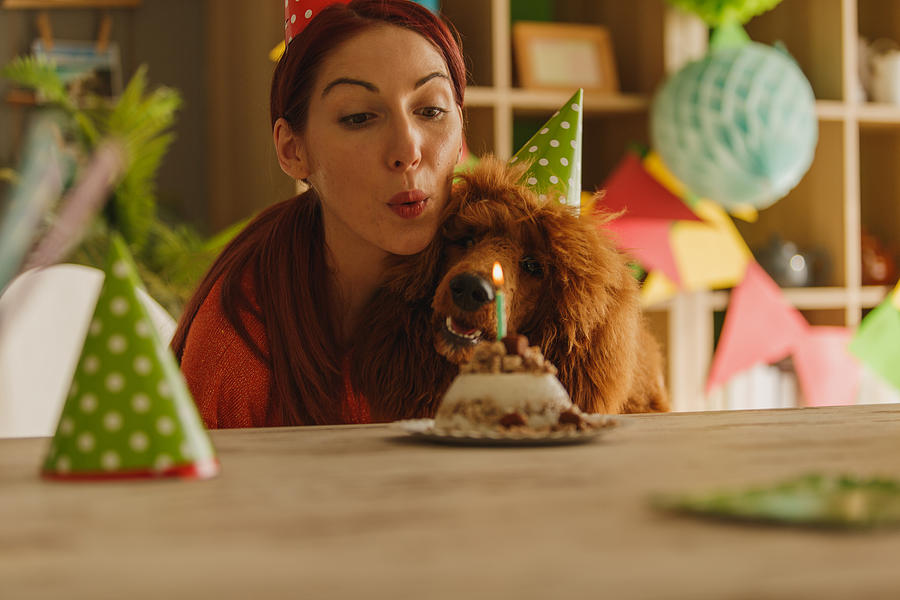 Owner blowing her dogs birthday candle while celebrating his first birthday Photograph by Fotostorm