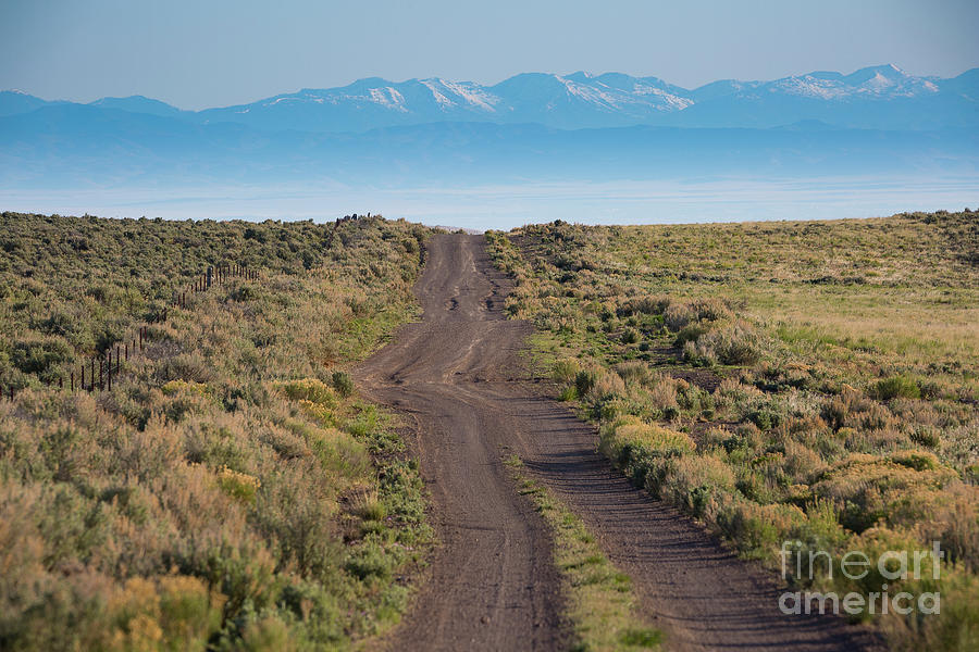 Owyhee Desert Road Photograph by Idaho Scenic Images Linda Lantzy