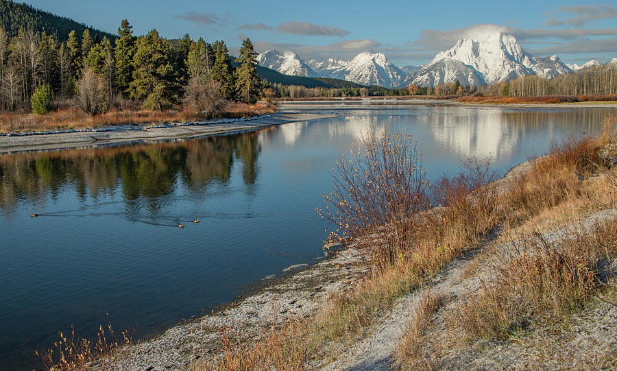 Oxbow Bend, Always Stunning Photograph by Marcy Wielfaert