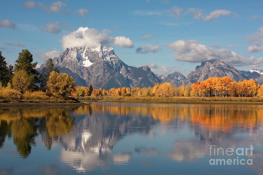 Oxbow Bend And Aspen Trees In Autumn, Grand Teton National Park, Wyoming USA Photograph by Philip Preston
