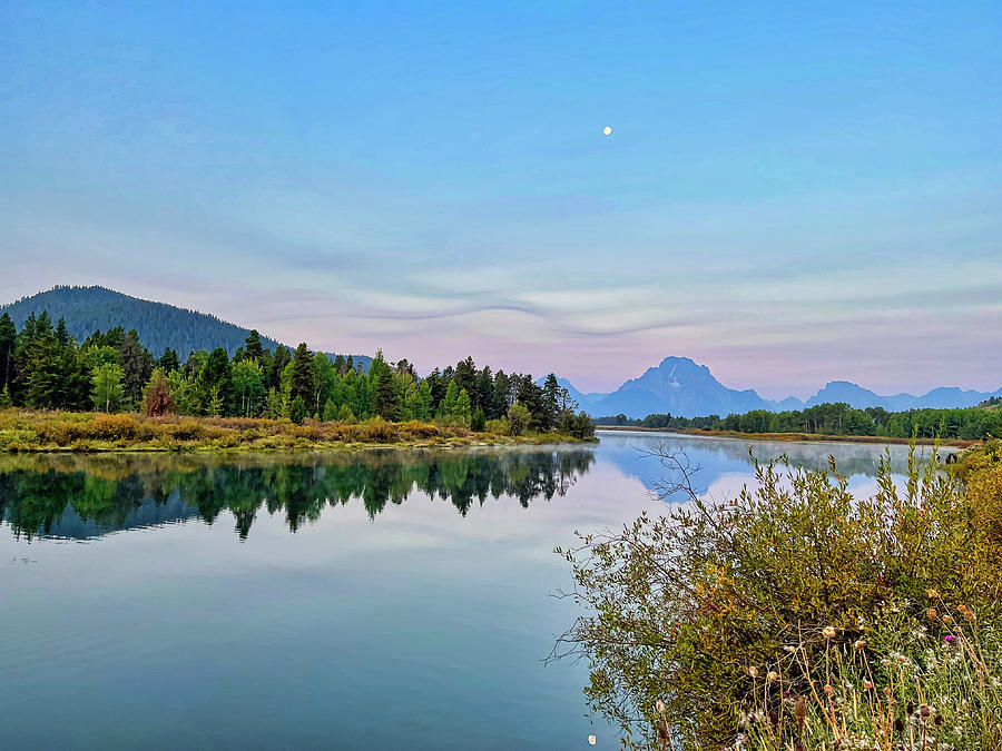 Oxbow Bend and Mount Moran Photograph by Judy Vincent