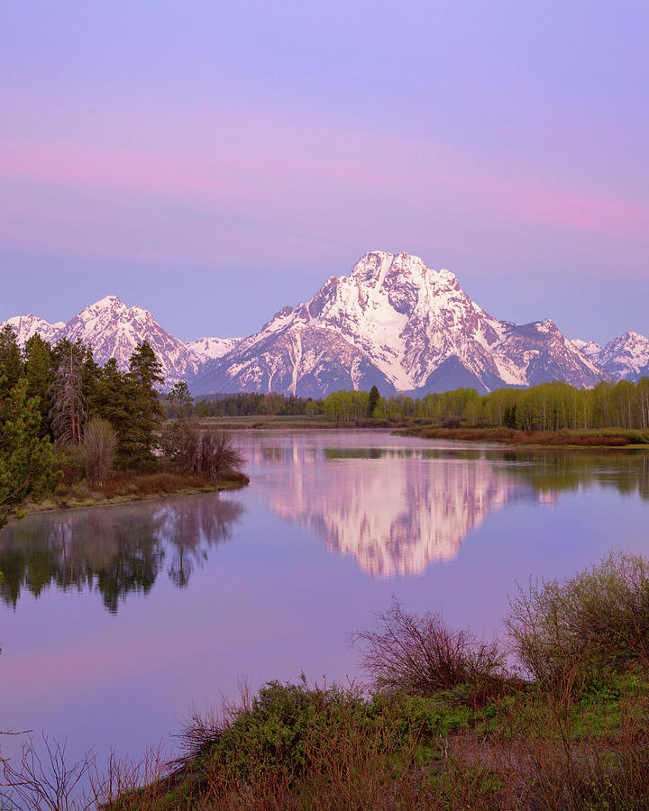 Oxbow Bend at Dawn Photograph by Jack Bell