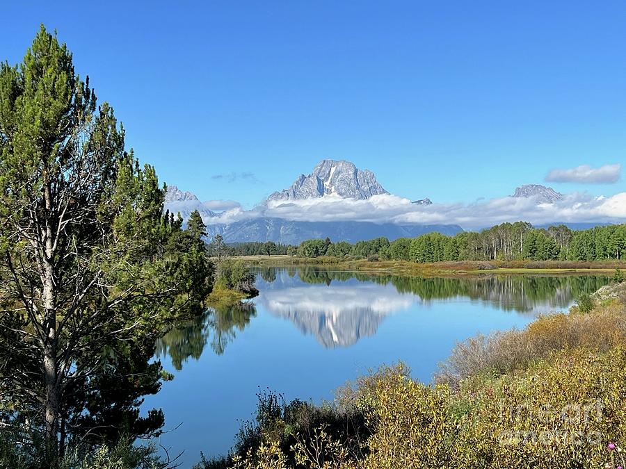 Oxbow Bend Photograph by Barbara Von Pagel