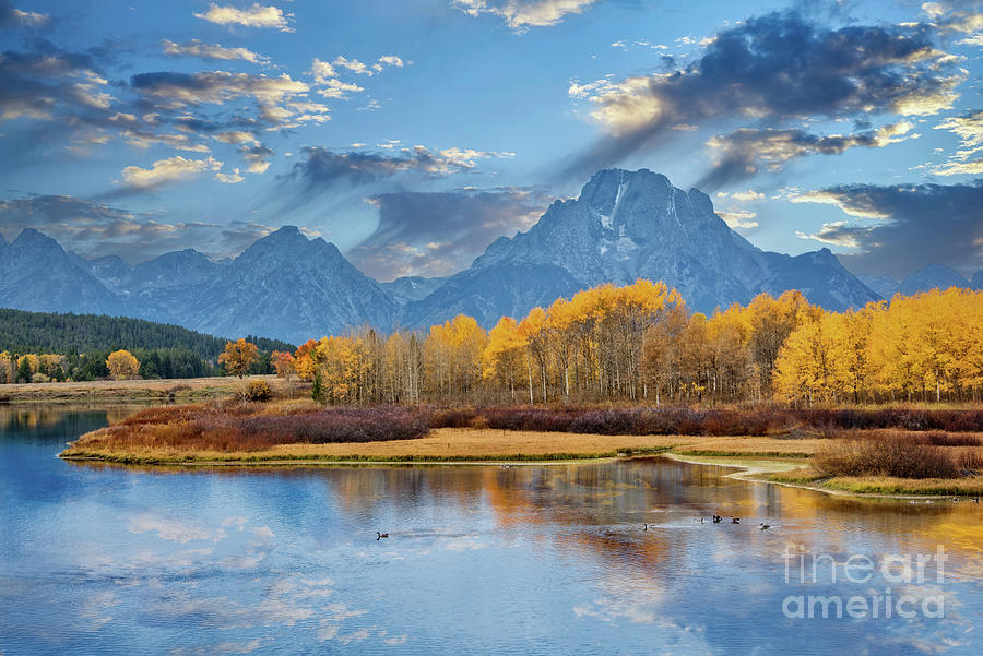 Oxbow Bend Photograph by Ed McDermott