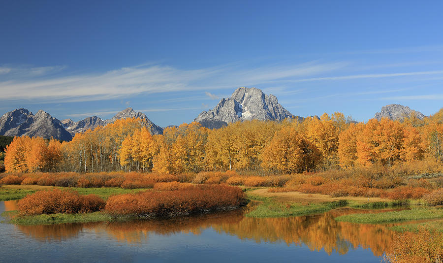 Oxbow Bend Fall Colors Photograph by Dan Sproul