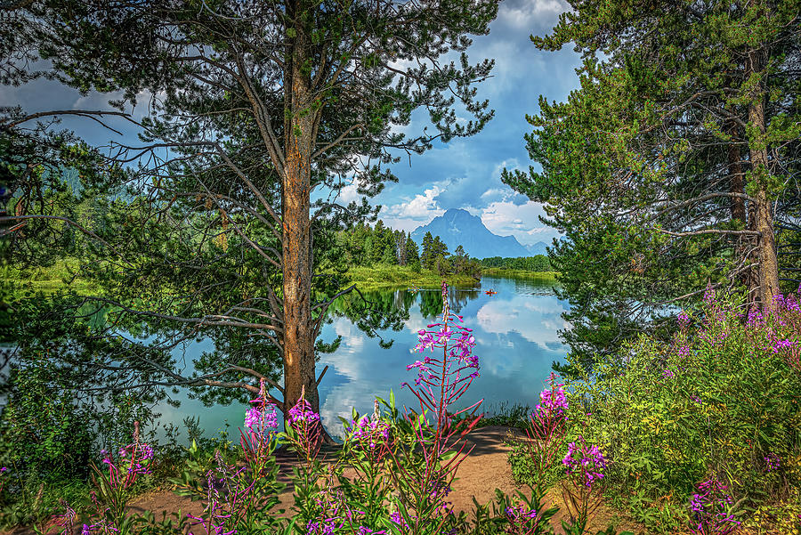 Oxbow bend in Color Photograph by Gary Felton
