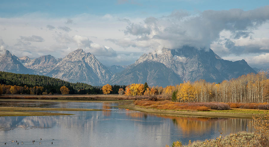 Oxbow Bend in Grand Teton National Park Photograph by Julie Barrick