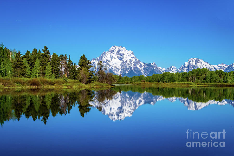 Oxbow Bend in the morning light,  Grand Teton Photograph by Sturgeon Photography