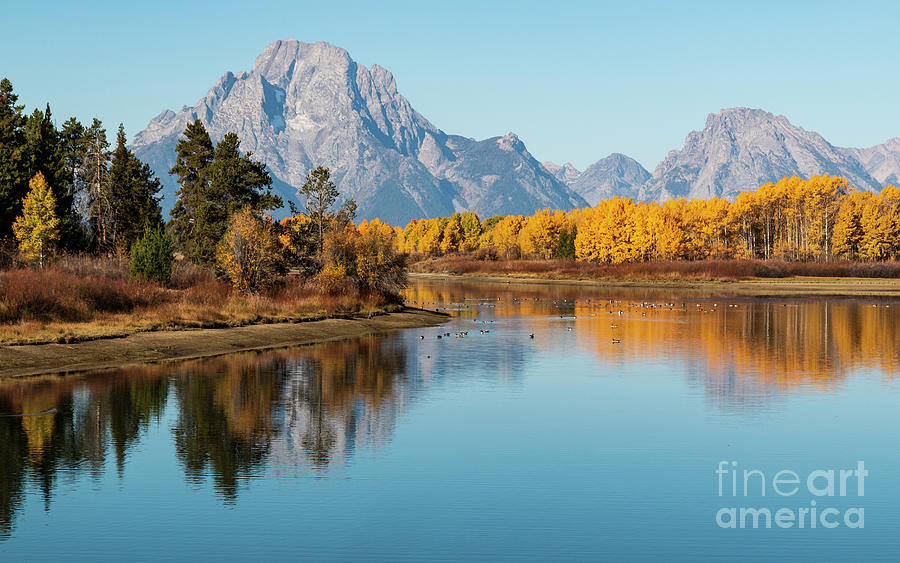 Oxbow Bend Photograph by Pam Holdsworth
