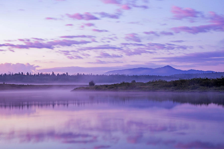 Oxbow Bend Sunrise Photograph by Leith Sandness - Fine Art America
