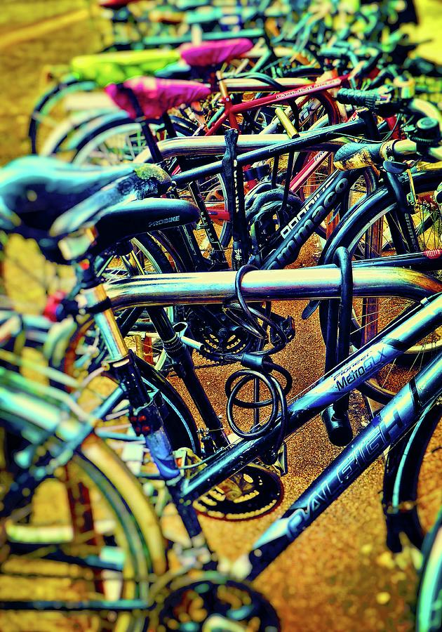 Oxford Bikes Photograph by Nora Martinez
