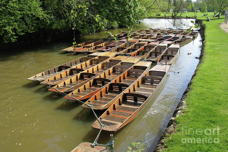 Oxford Boats Photograph by Marilyn Cornwell